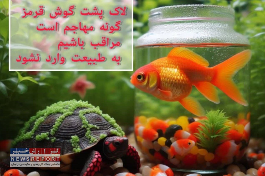 ممنوعیت در رهاسازی گونه‌های غیربومی در طبیعت