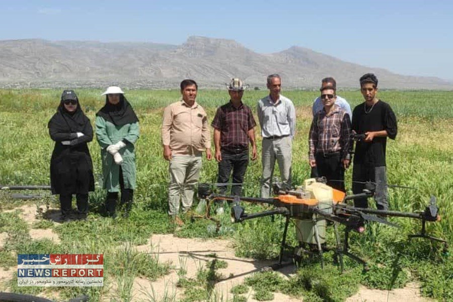 مبارزه با بیماری برگی مزارع گندم شیراز تشدید یافت