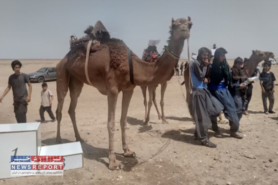 به مناسبت عید قربان بافق میزبان برگزاری مسابقات قهرمانی کشور و انتخابی تیم ملی شتر سواری