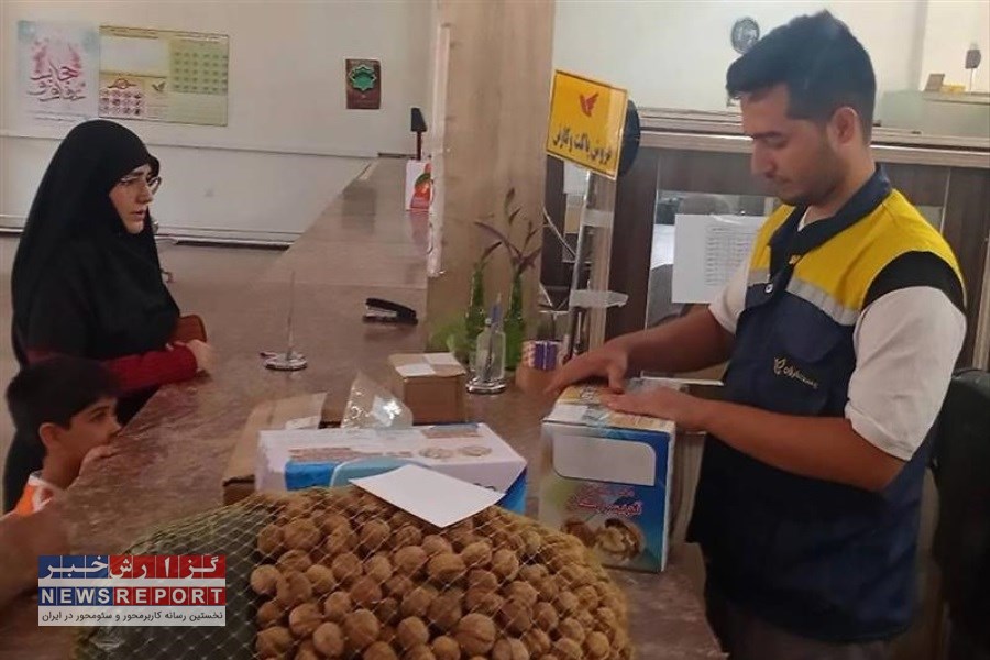 ارسال 86 تُن گردوی تویسرکان در بستر سرویس تجارت الکترونیک پست