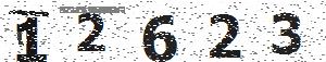 تصویر امنیتی