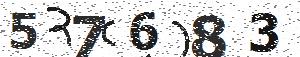 تصویر امنیتی