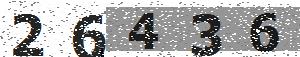 تصویر امنیتی